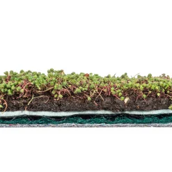 AboutGreen Dachbegrünung Roll und Go Dachneigung 1-5
