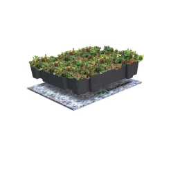AboutGreen Gründachsystem Click und Go bis 15 Dachneigung 45 x 49,5 cm