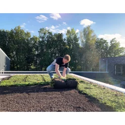 AboutGreen Gründachsystem Aromadach bis 10 Dachneigung 1 m²