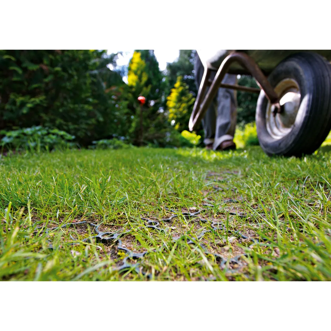 ACO Rasenwabe 586 x 386 mm grün