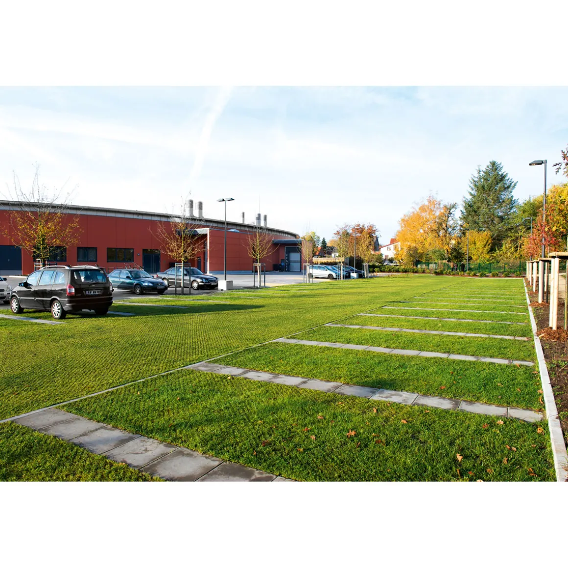 ACO Rasenwabe 586 x 386 mm grün