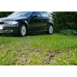 ACO Rasenwabe 586 x 386 mm grün