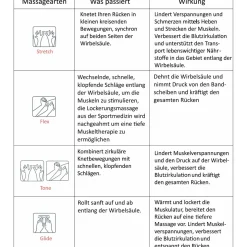 Alpha Techno Multifunktions- Massagesessel 90, grau
