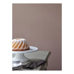 Alpina Feine Farben Dichter der Erde 2,5 L