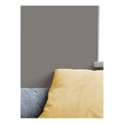 Alpina Feine Farben Stärke der Berge 2,5 L