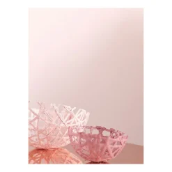 Alpina Feine Farben Zarte Romantik 2,5 L