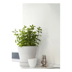 Alpina Feine Farben Zeit der Eisblumen 2,5 L