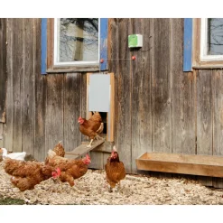 Automatik-Hühnertür 43 x 40 cm grau