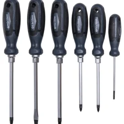 Basic Schraubendreher-Satz 6-teilig