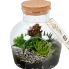 Bepflanztes Glas mit Sukkulenten T19