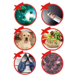 Best Direct Ionen-Luftreiniger „PURIPOD®“