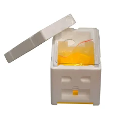 Bienenreich Begattungskasten mit Fütterer 7-teilig