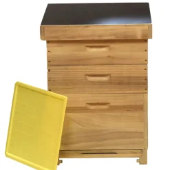 Bienenreich Komplettbeute Dadant US für 12 Rähmchen