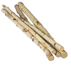 Birkenstamm 90 cm Durchmesser 2-4 cm