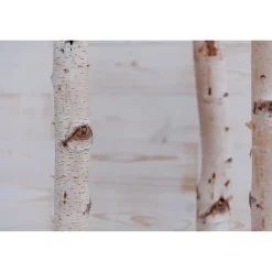 Birkenstamm Länge 180 cm Durchmesser 4-6 cm
