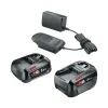 Bosch Akku-Set 18V 2,0Ah und 3,0Ah und AL18V-20