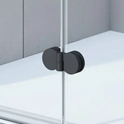 Breuer Seitenwand Panorama für Drehtür und Festteil alu chromeffekt Intima 900 mm