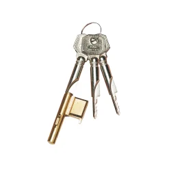 Burg Wächter Schlüssellochsperrer E 7/3 Messing