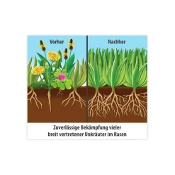 Compo FLORANID Rasendünger plus Unkrautvernichter für 50 m² 1,5 L