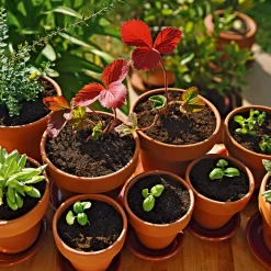 Compo Qualitäts-Blumenerde 50 L