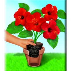 Compo Qualitäts-Blumenerde 50 L