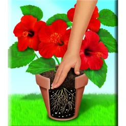 Compo Qualitäts-Blumenerde 50 L