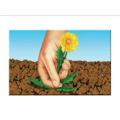 Compo Rasensaat Spiel und Sport 5 kg für 250 m²