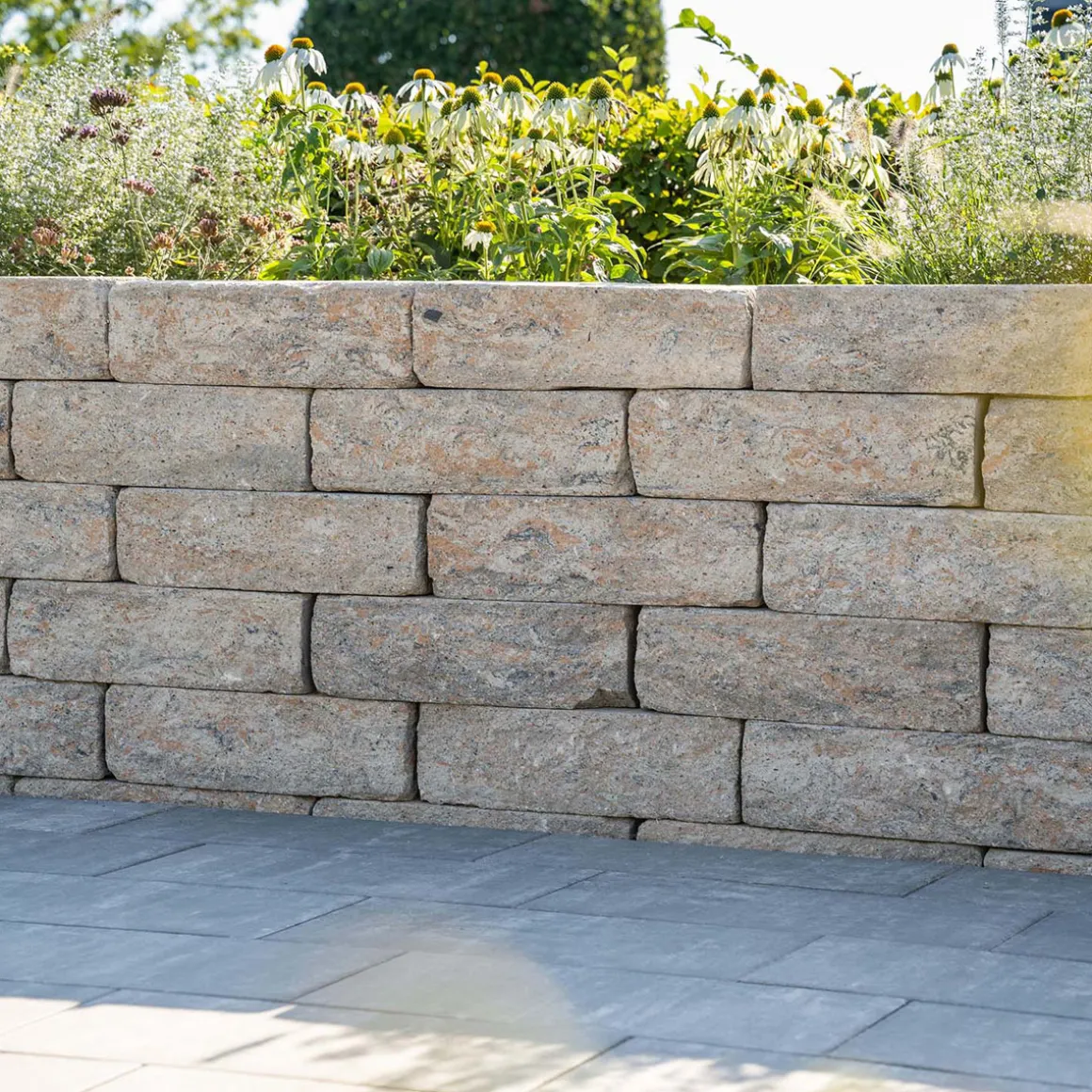 Diephaus Mauerstein Cup-Mini Muschelk. 50 x 16,5 x 15 cm