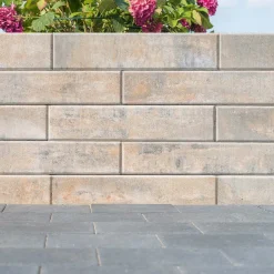 Diephaus Mauerstein Straight Medio Muschelkalk 42 x 21 x 12,5 cm