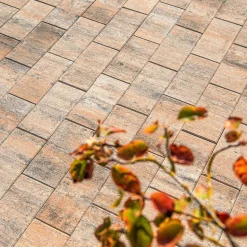 Diephaus Terrassenplatte No. 1 Light muschelkalk 40 x 20 x 4 cm