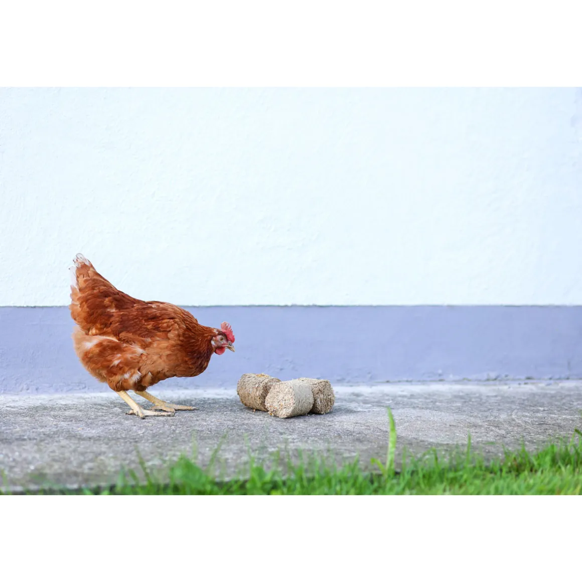 Dinkelspelzenbriketts 24 Stück