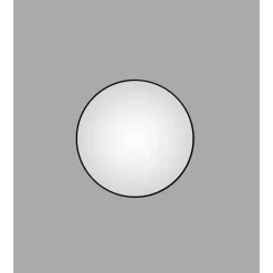 DSK Design Spiegel Silver Globo Black Dm 100 cm