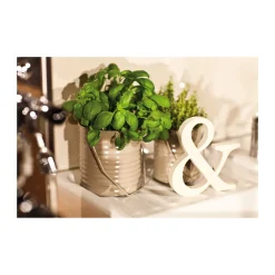 Edding Spray 5200 cremeweiß seidenmatt