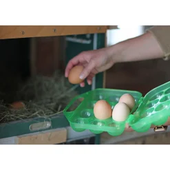 Eier-Transportbox für 12 Eier grün