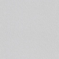 Erfurt Vliesfaser Protect 202 weiß 1005 x 53 cm