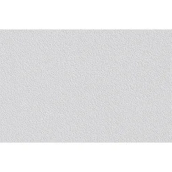 Erfurt Vliesfaser Protect 204 weiß 1005 x 53 cm