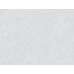 Erfurt Vliesfaser Maxx Economy Ornato 101