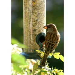 Futterspender zum Aufhängen 9,5 x 9,5 x 23 cm Metall Dunkelgrün
