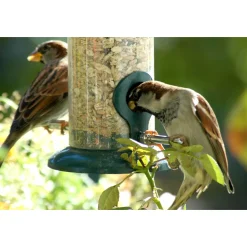 Futterspender zum Aufhängen 9,5 x 9,5 x 23 cm Metall Dunkelgrün