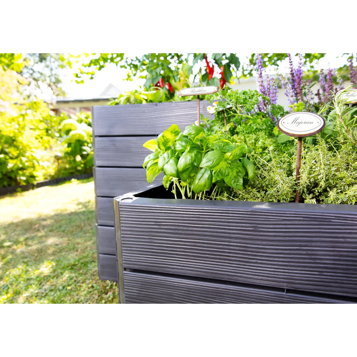 Garantia Hochbeet ERGO QUADRO L 75 Wood inkl FLORA