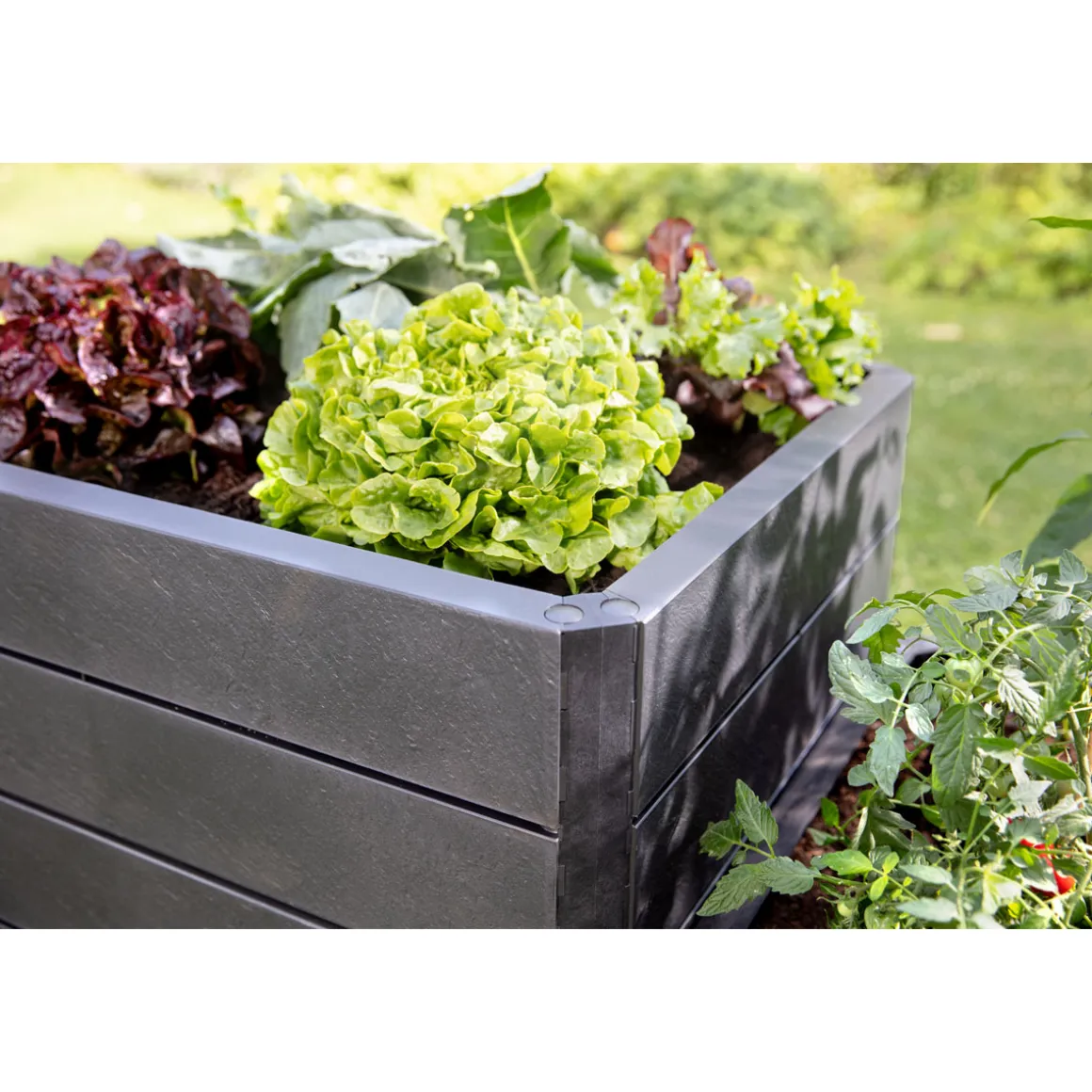 Garantia Hochbeet ERGO QUADRO L 75 Stone inkl FLORA