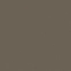 Gardinia Flächenvorhang Stoff Entry 60 x 245 cm braun