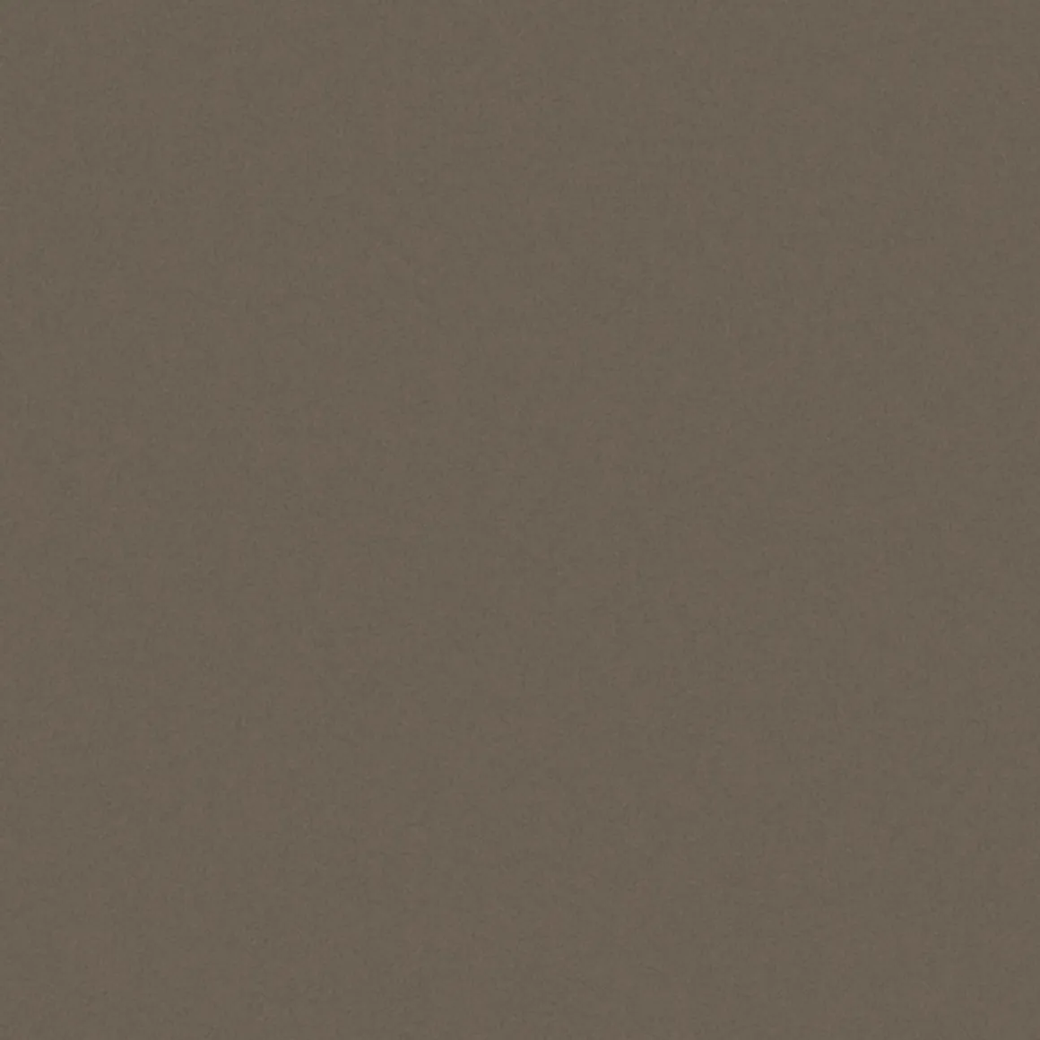 Gardinia Flächenvorhang Stoff Entry 60 x 245 cm braun