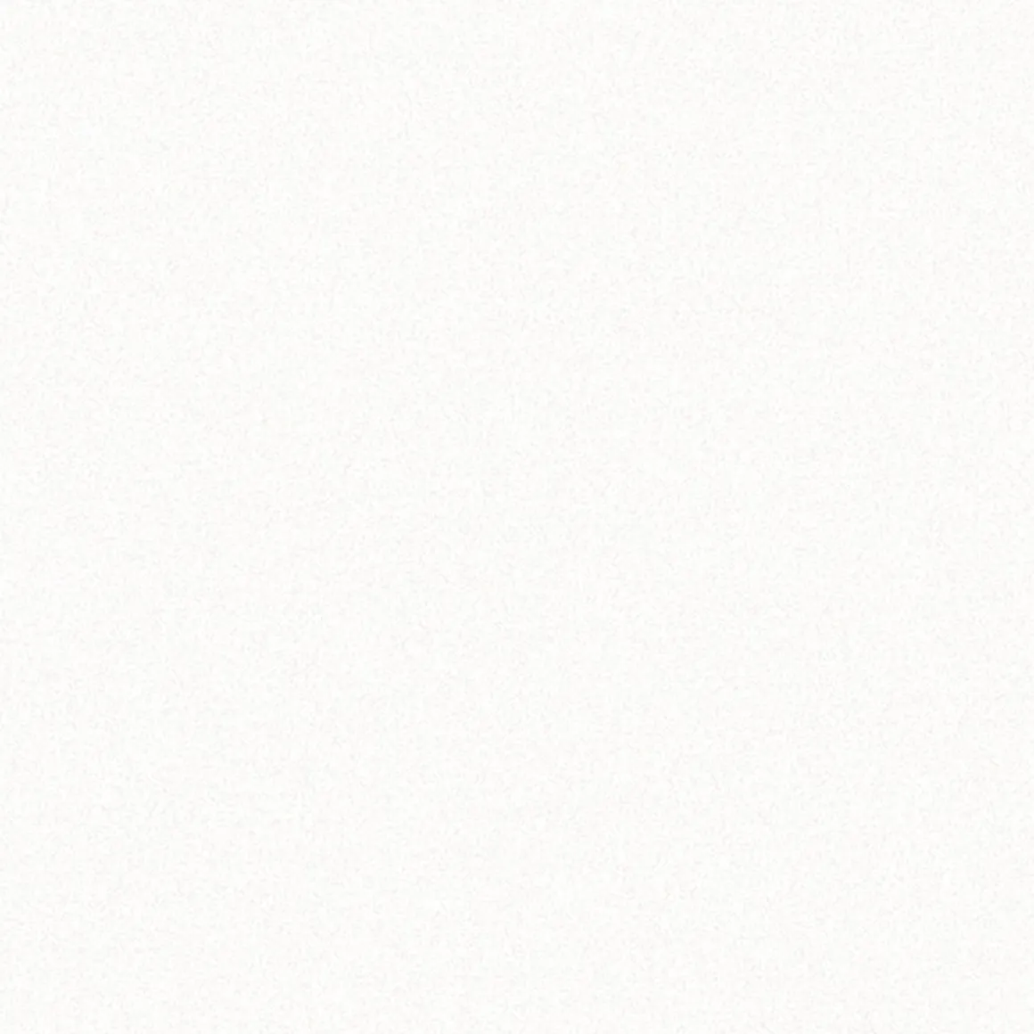 Gardinia Flächenvorhang Stoff Entry 60 x 245 cm weiß