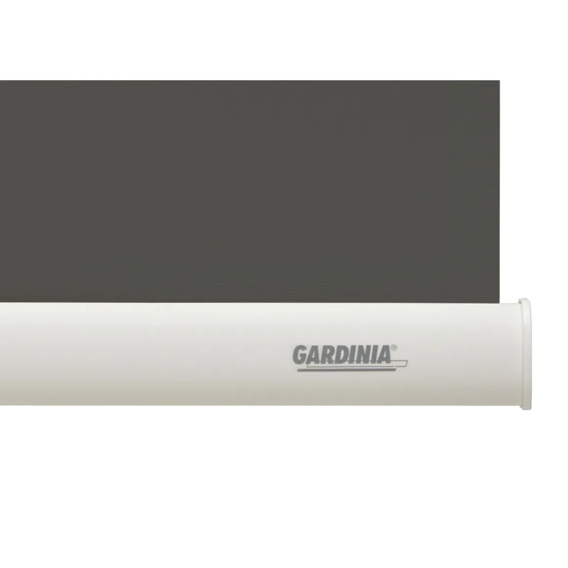 Gardinia Seitenzugrollo 62 x 180 cm Uni grau
