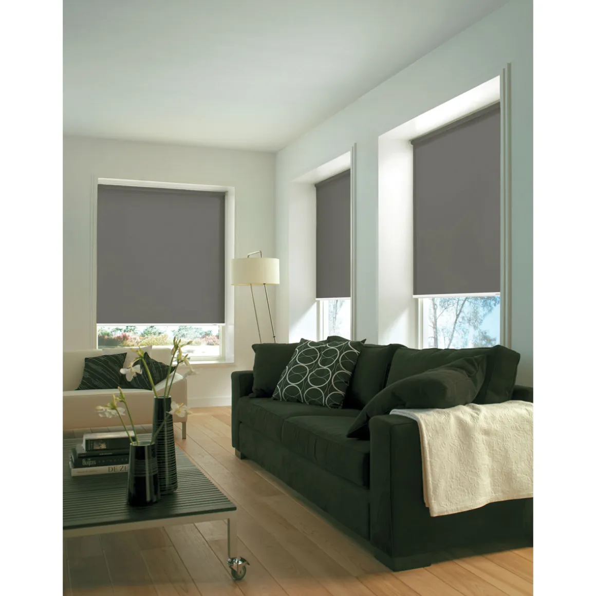 Gardinia Seitenzugrollo 62 x 180 cm Uni grau