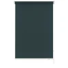 Gardinia Seitenzugrollo 52 x 180 cm grau