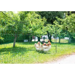 Geflügelnetz PoultryNet Doppelspitze 5000 x 106 cm dunkelgrün