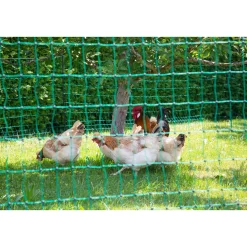 Geflügelnetz PoultryNet Doppelspitze 5000 x 106 cm dunkelgrün