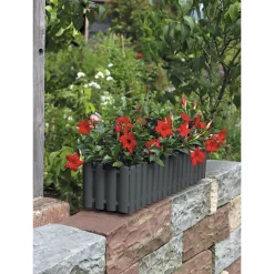 Geli Blumenkasten Palido 50 cm anthrazit